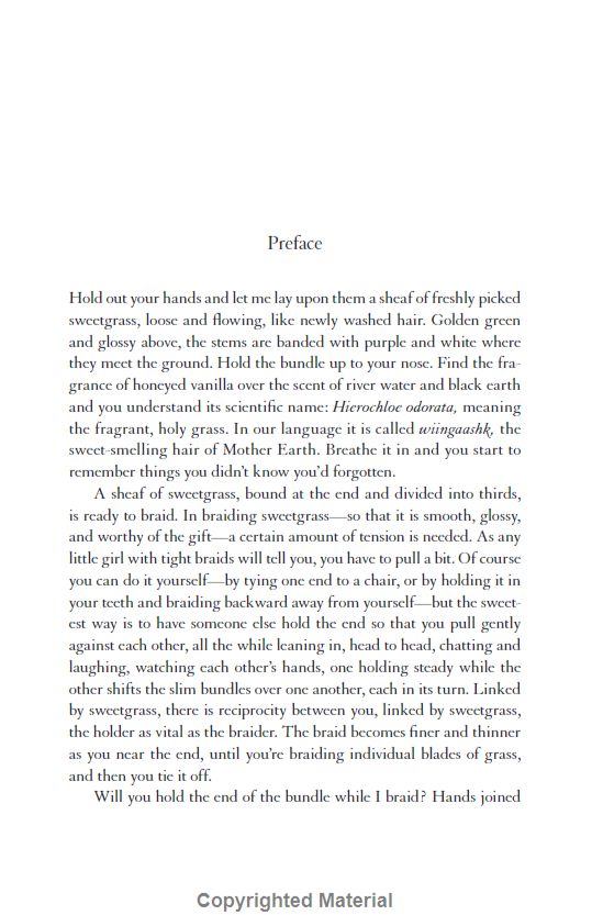 Braiding Sweetgrass - Ảnh 11