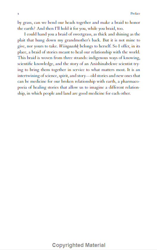 Braiding Sweetgrass - Ảnh 12