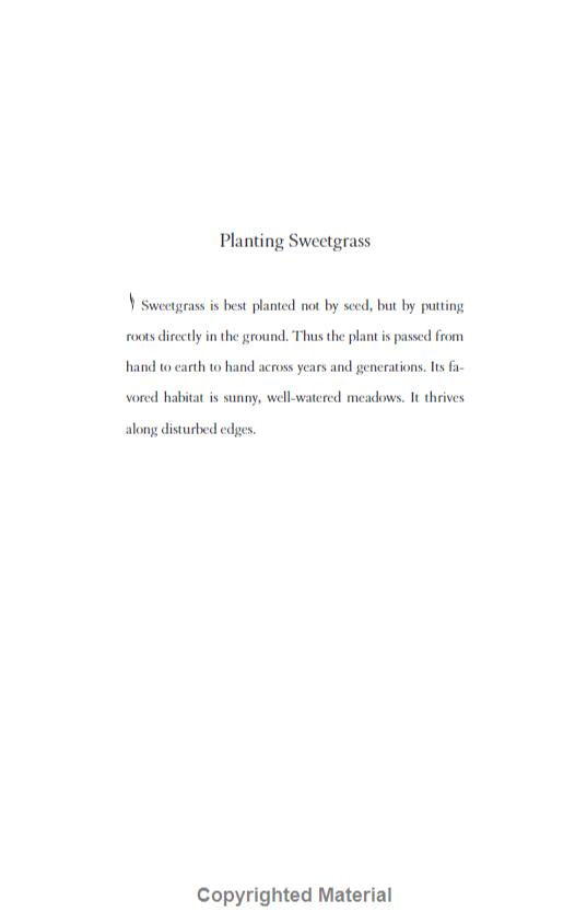 Braiding Sweetgrass - Ảnh 13