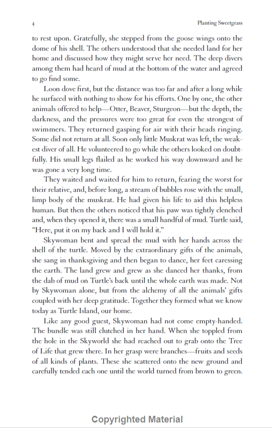 Braiding Sweetgrass - Ảnh 15