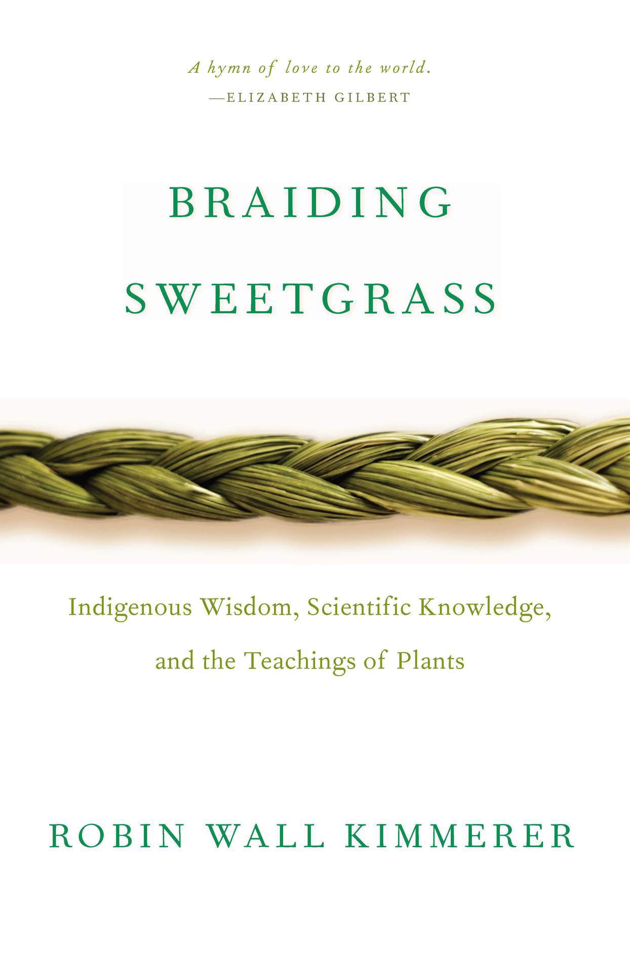 Braiding Sweetgrass - Ảnh 2