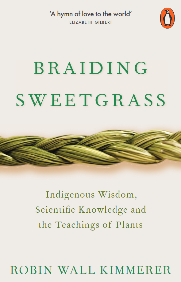 Braiding Sweetgrass - Ảnh 3