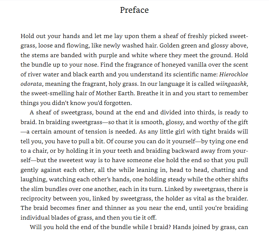 Braiding Sweetgrass - Ảnh 4