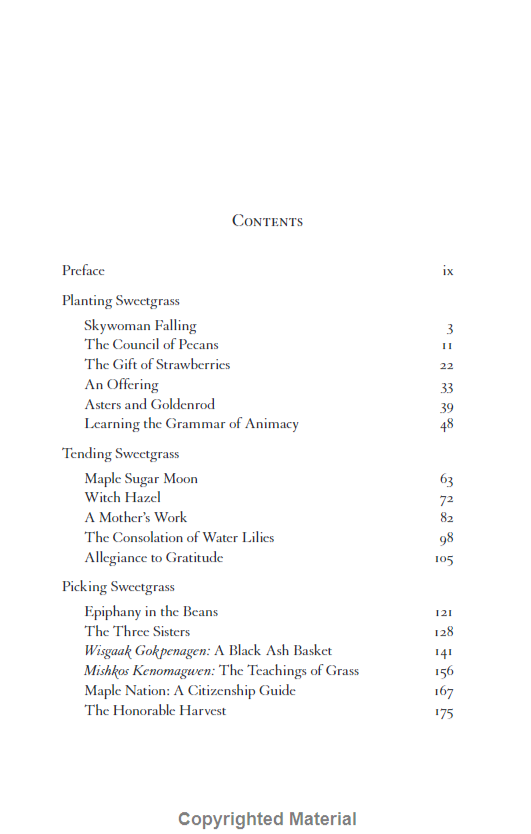 Braiding Sweetgrass - Ảnh 7