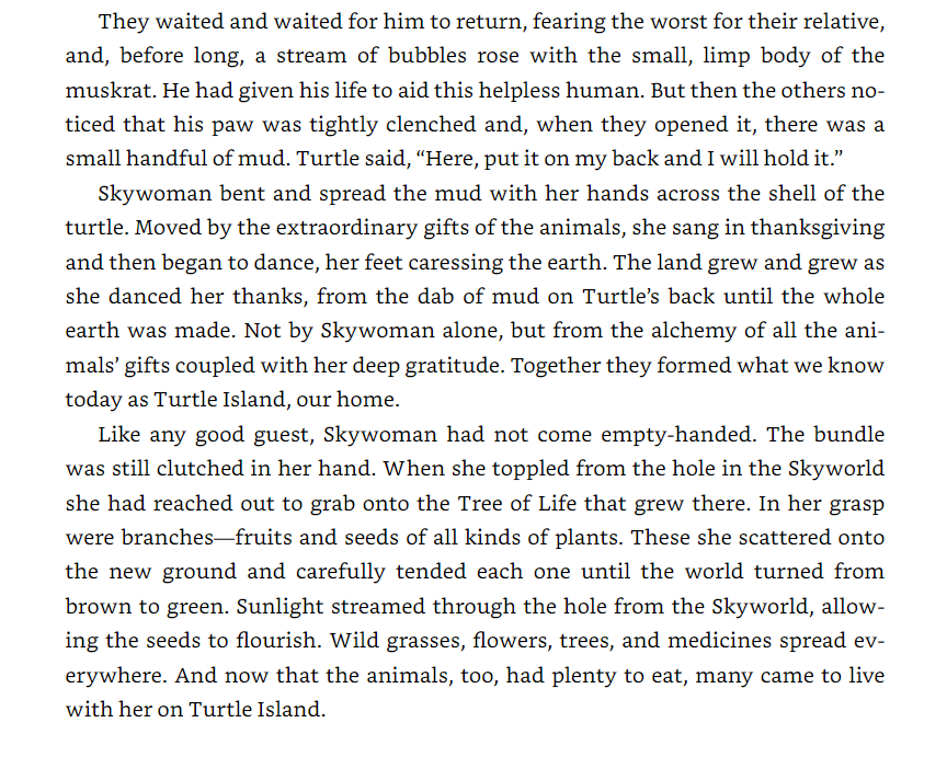 Braiding Sweetgrass - Ảnh 8