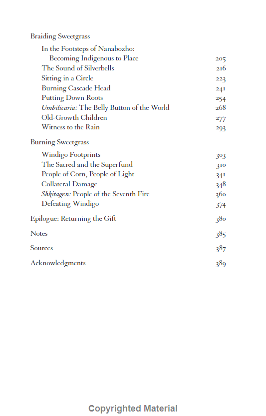 Braiding Sweetgrass - Ảnh 9