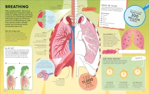 brain booster human body - Ảnh 5