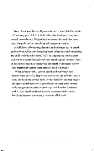 breathe: a thich nhat hanh meditation journal - Ảnh 4