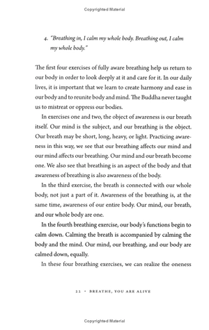 breathe, you are alive! - Ảnh 13