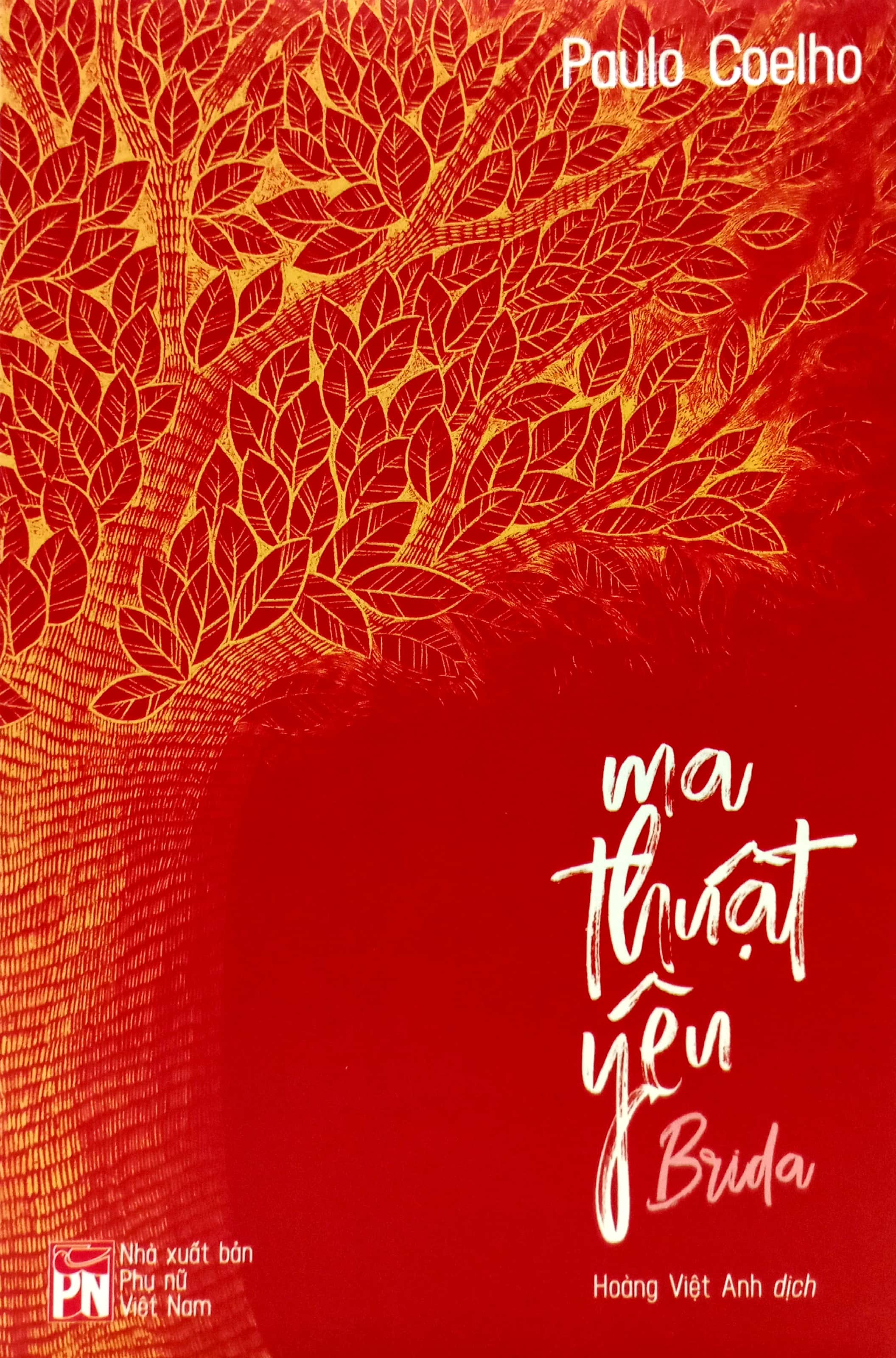 brida - ma thuật yêu - Ảnh 2