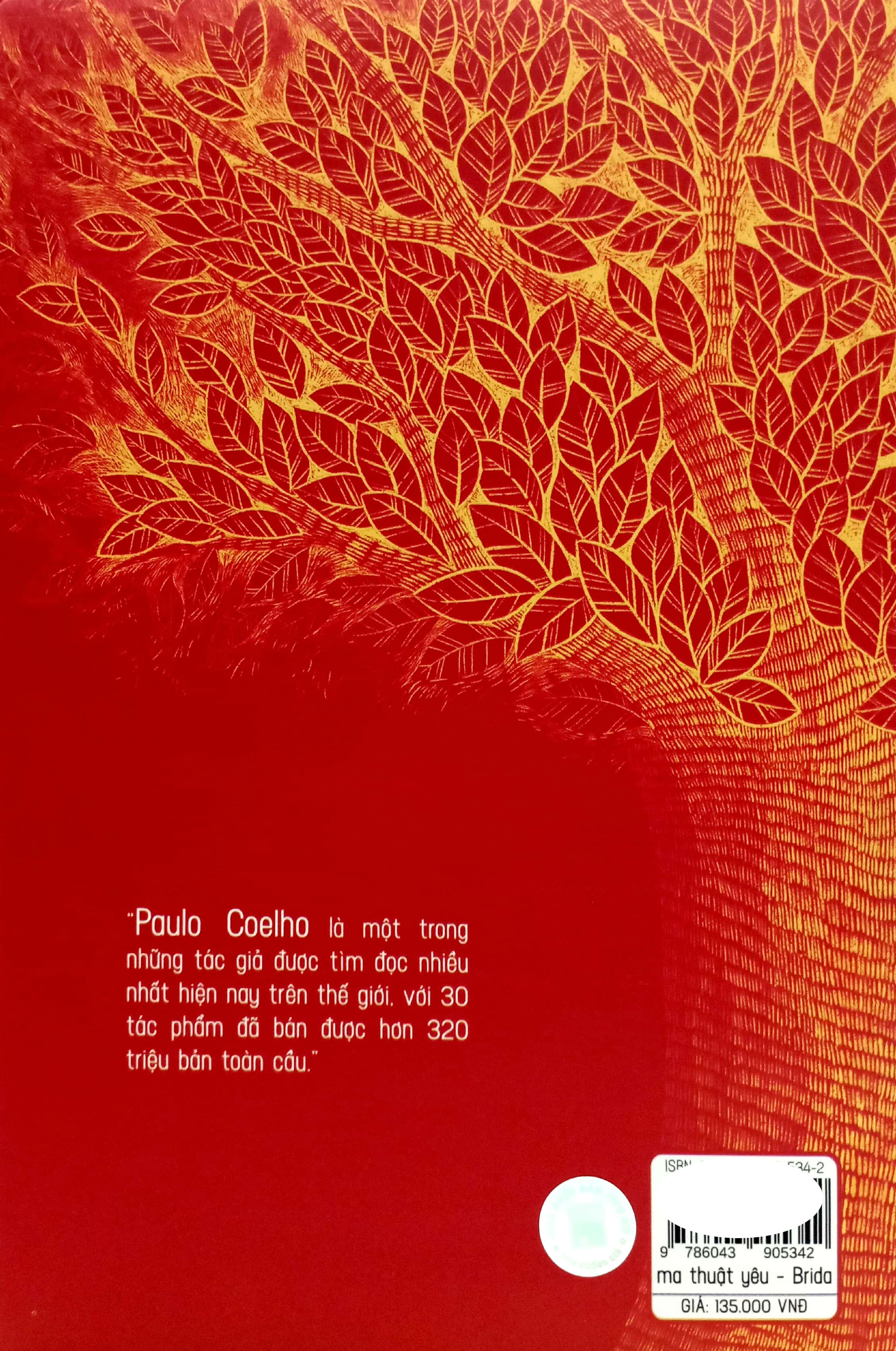 brida - ma thuật yêu - Ảnh 7