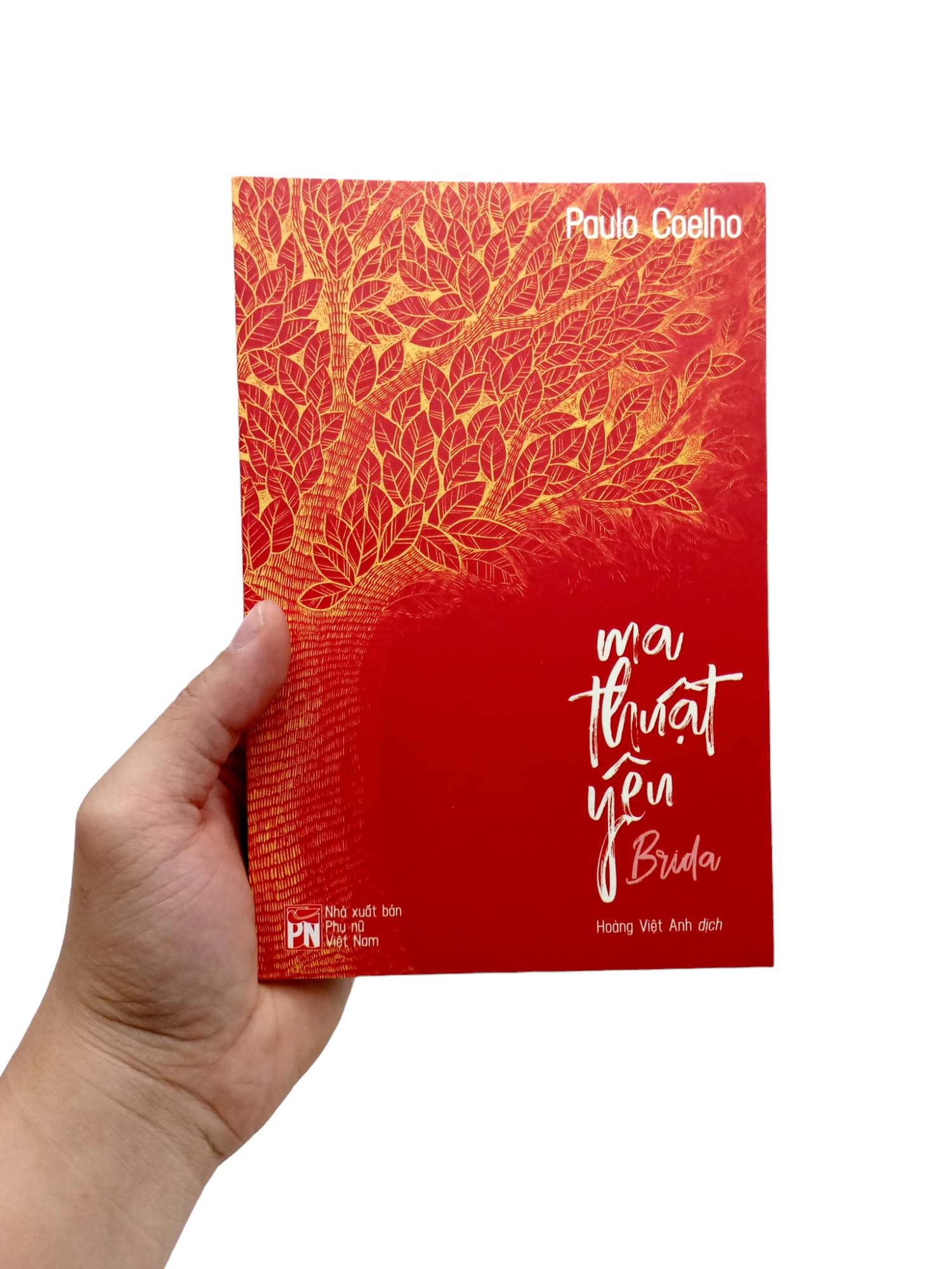 brida - ma thuật yêu - Ảnh 8