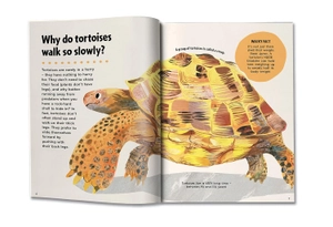 britannica first big book of why - Ảnh 6