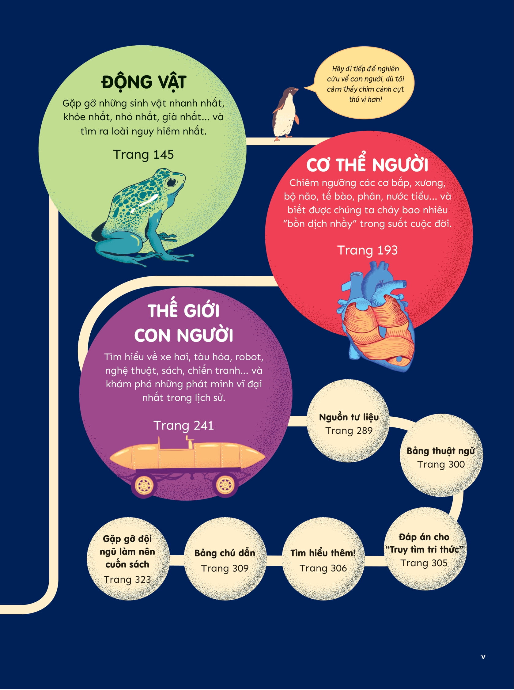 britannica's encyclopedia infographica - bách khoa thư bằng đồ họa - Ảnh 4