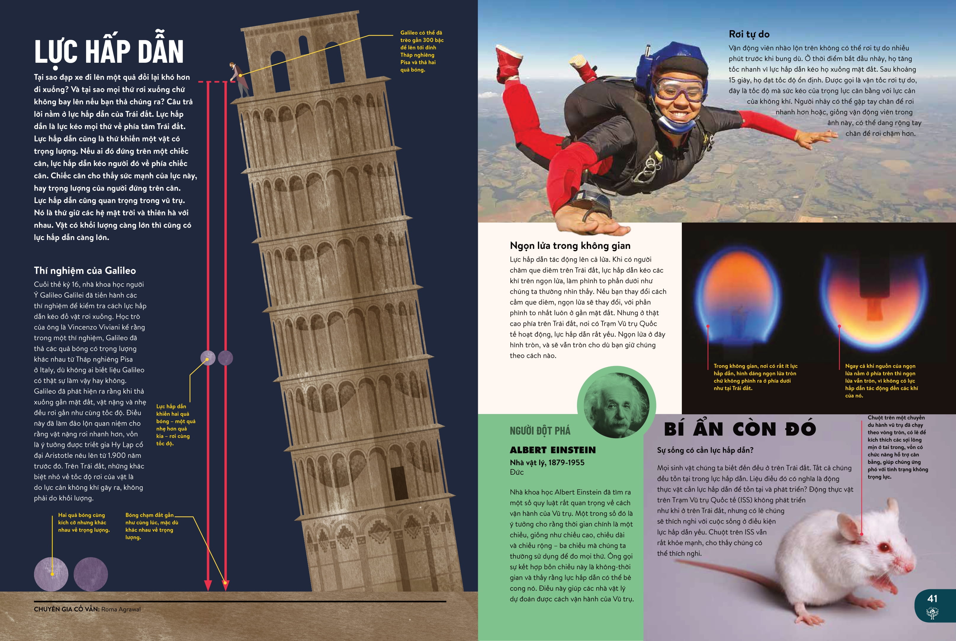 britannica thế hệ mới - kho tri thức về vật chất - Ảnh 8