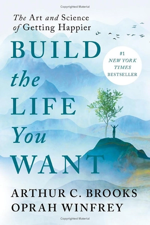 build the life you want - Ảnh 2
