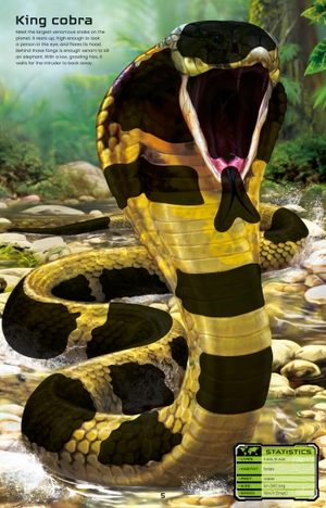 build your own deadly animals sticker book - Ảnh 10