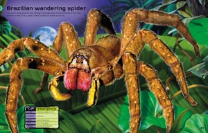 build your own deadly animals sticker book - Ảnh 4