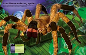 build your own deadly animals sticker book - Ảnh 5