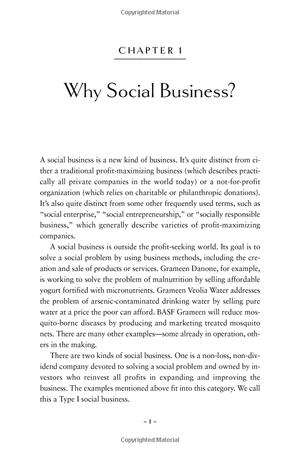 building social business: the new kind of capitalism that serves humanity's most pressing needs - Ảnh 7
