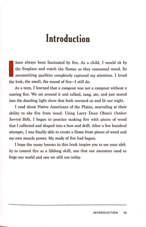 building the perfect fire: with or without matches in any weather - Ảnh 6