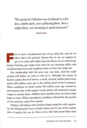 building the perfect fire: with or without matches in any weather - Ảnh 8