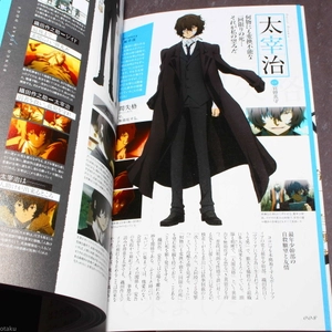 bungou sutoreidoggusu koushiki gaidobu shinka roku - Ảnh 5