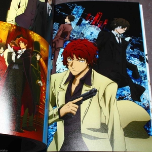 bungou sutoreidoggusu koushiki gaidobu shinka roku - Ảnh 8