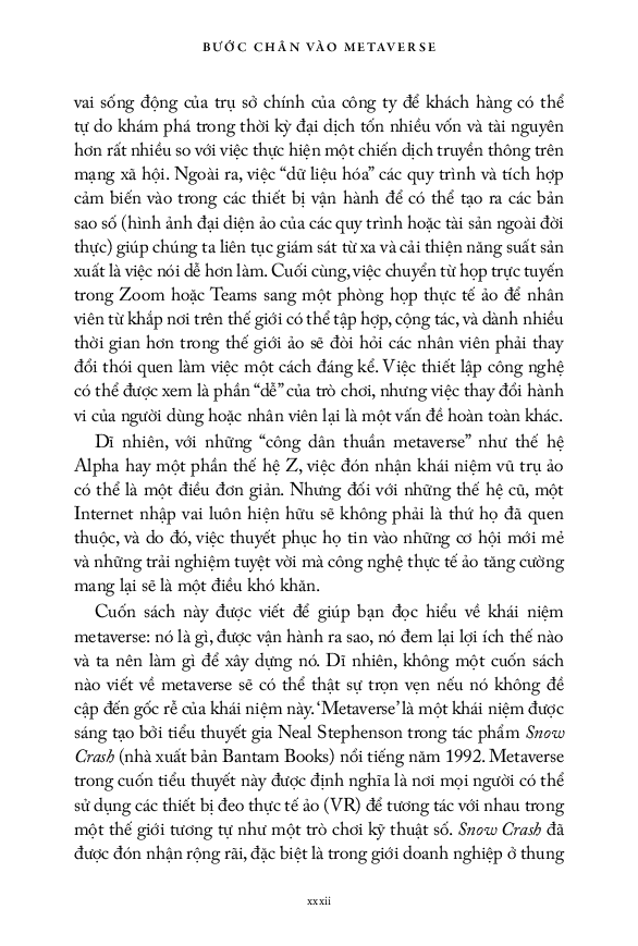 bước chân vào metaverse - để khai thác nền kinh tế tỷ đôla - Ảnh 11