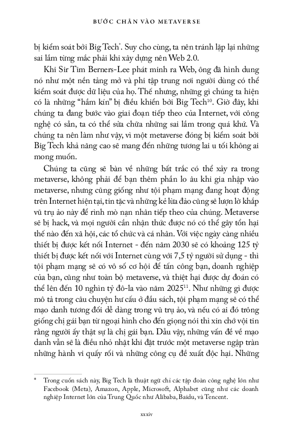 bước chân vào metaverse - để khai thác nền kinh tế tỷ đôla - Ảnh 13