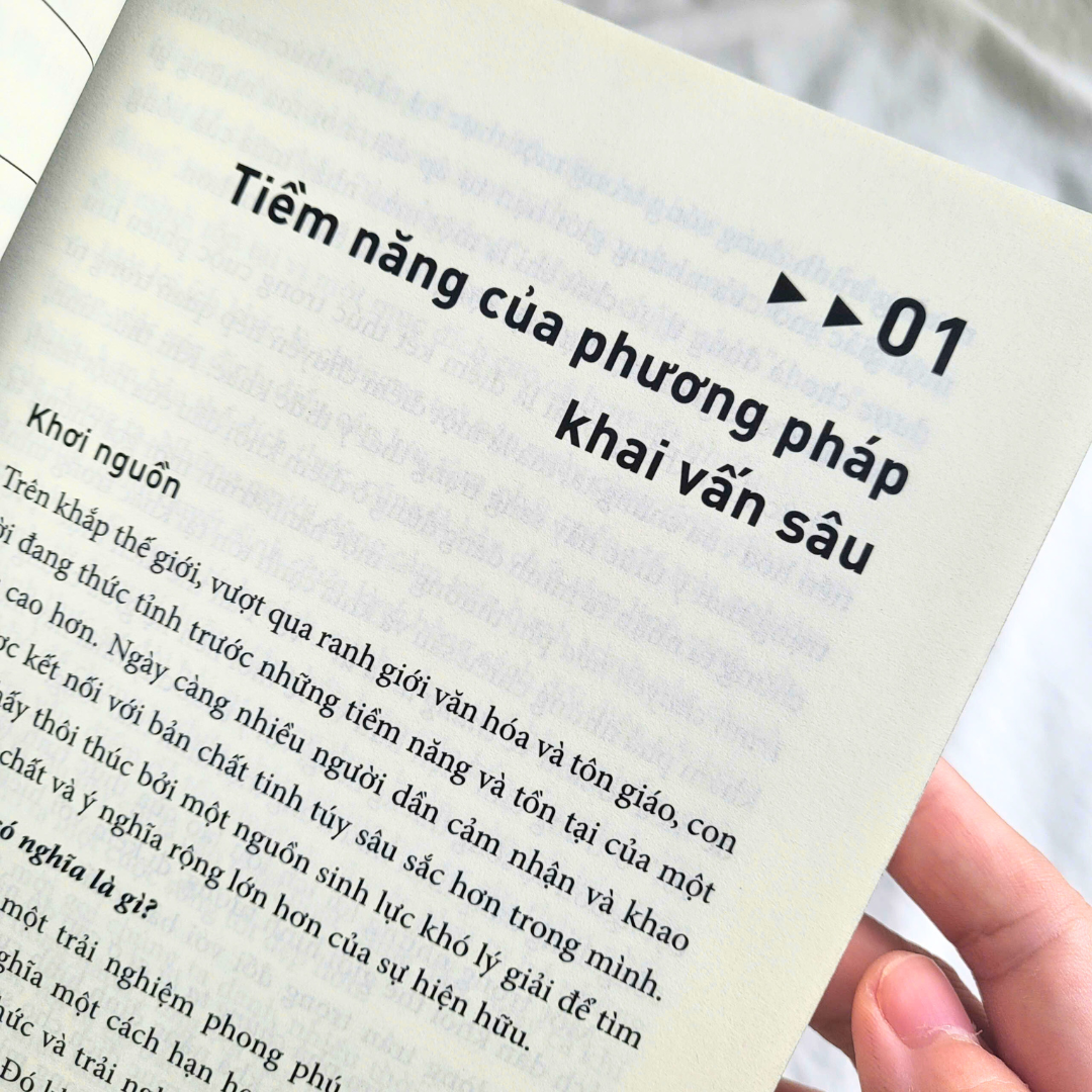 Bước Chuyển Bản Thể - Nghệ Thuật Và Thực Hành Khai Vấn Chuyển Hóa Chuẩn Quốc Tế - Ảnh 4