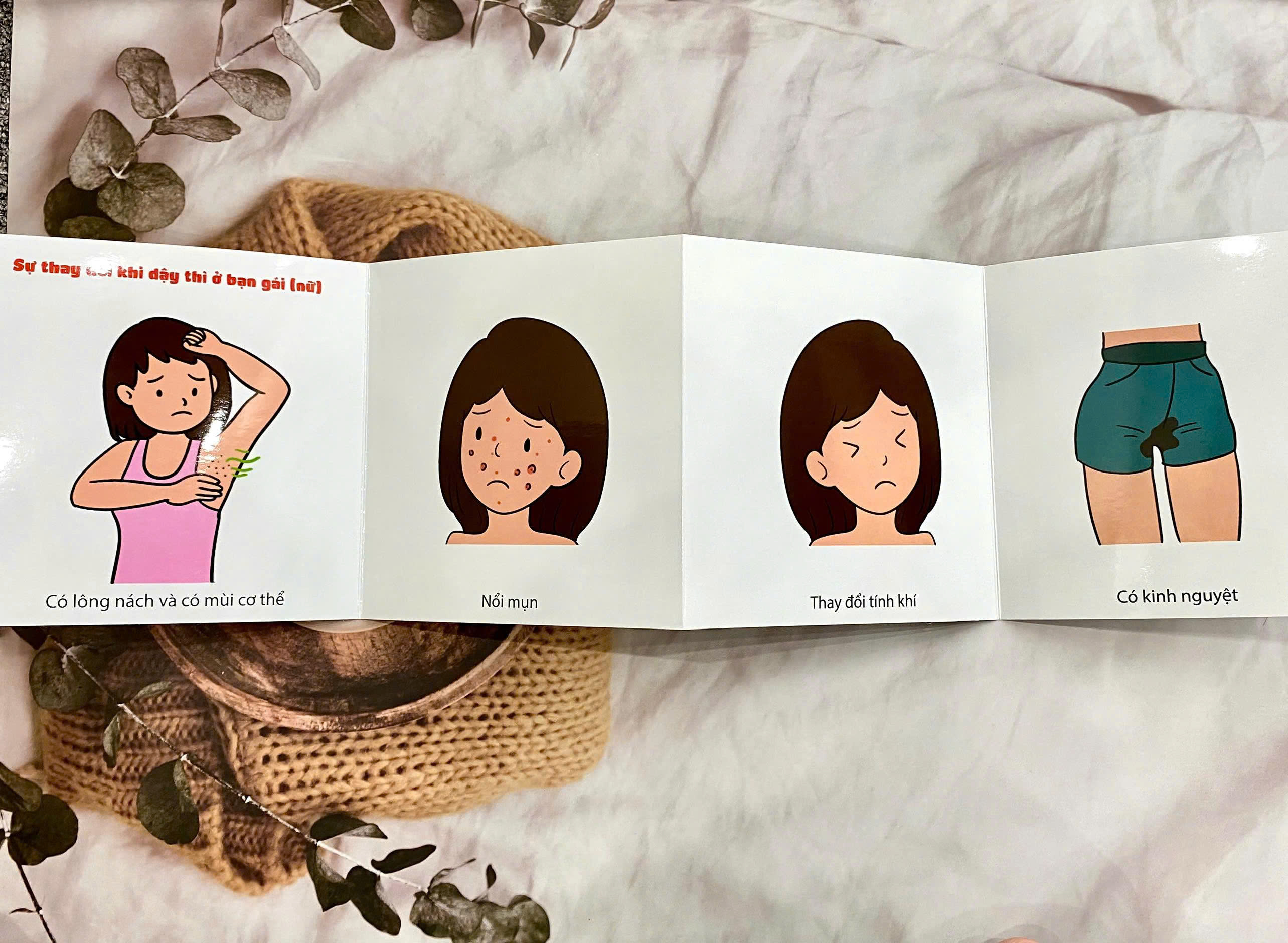 Bước Vào Tuổi Lớn - Ảnh 8