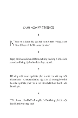 buổi hoàng hôn của những thần tượng - Ảnh 7