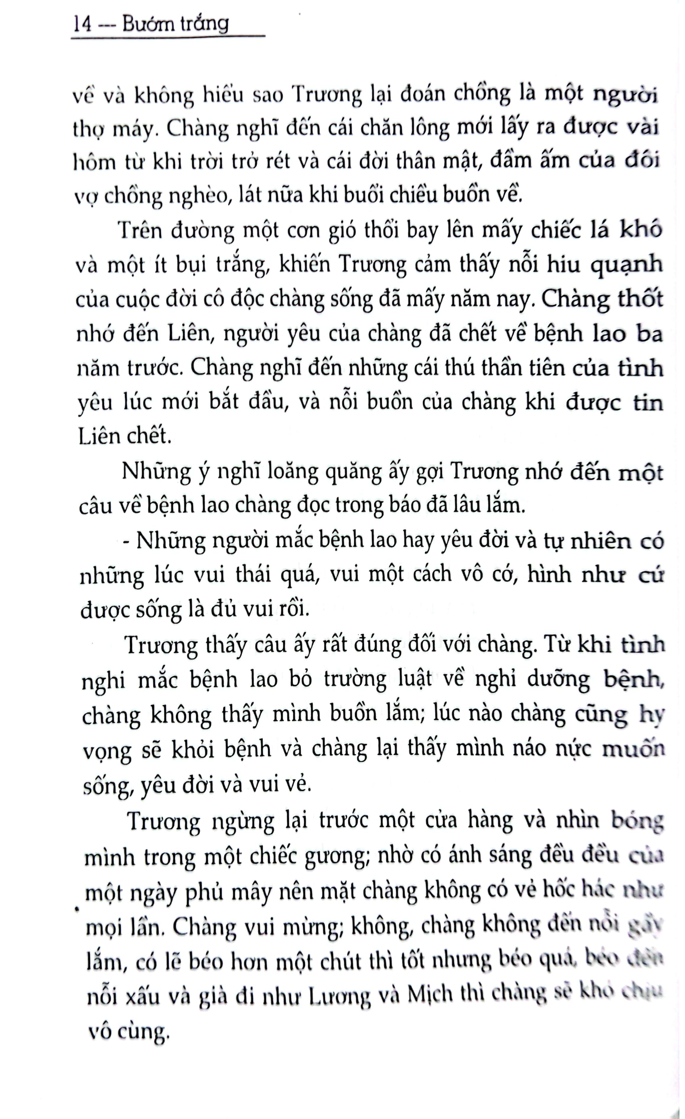 bướm trắng - Ảnh 4