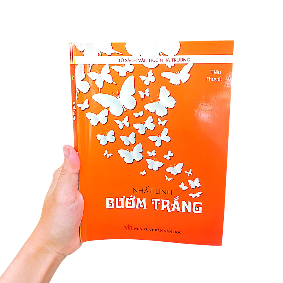 bướm trắng - Ảnh 9