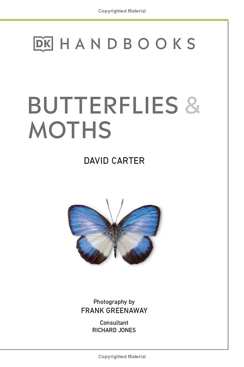Butterflies and Moths - Ảnh 3