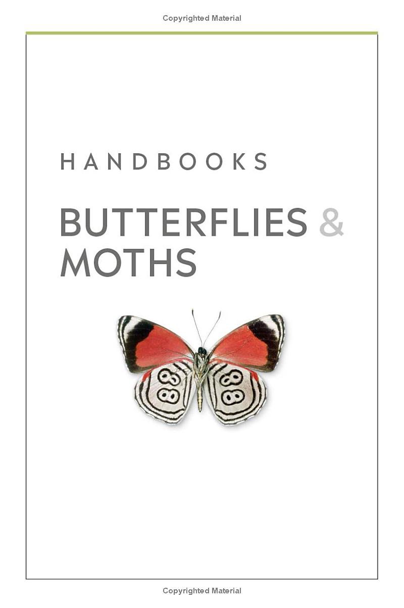 Butterflies and Moths - Ảnh 5