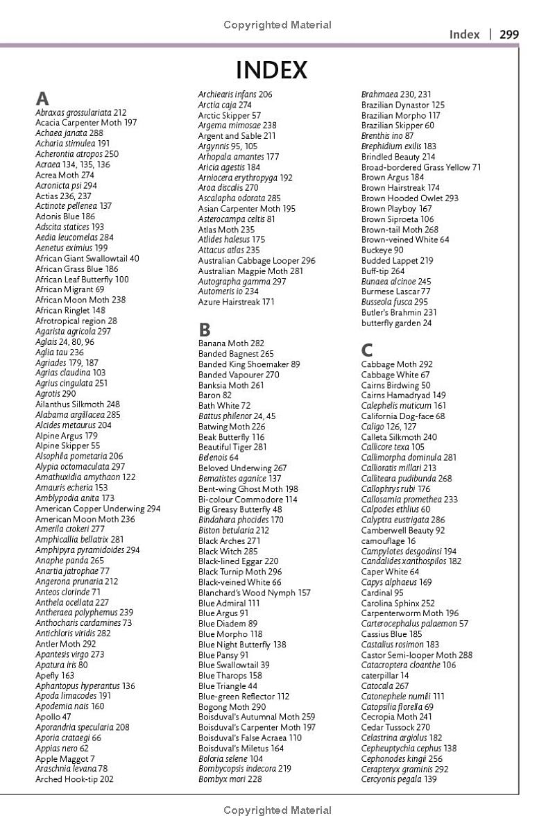 Butterflies and Moths - Ảnh 8