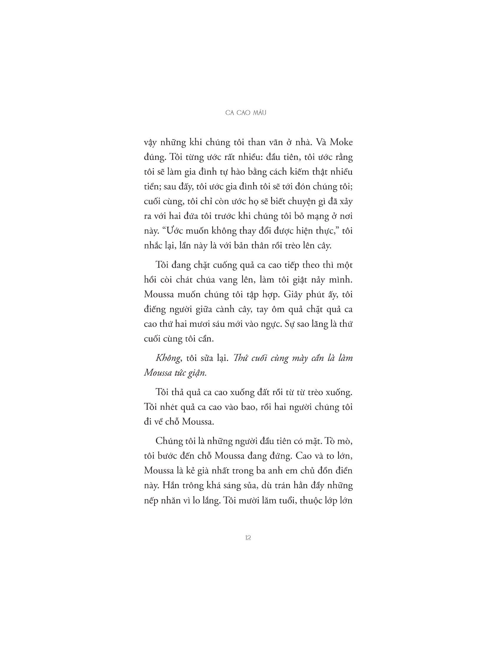 ca cao máu - Ảnh 10