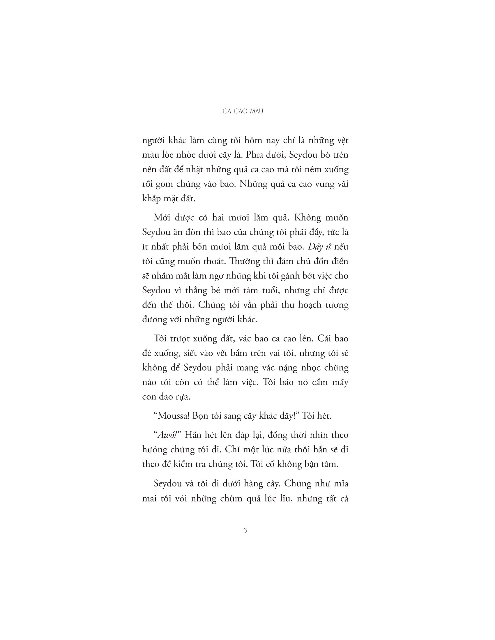 ca cao máu - Ảnh 4