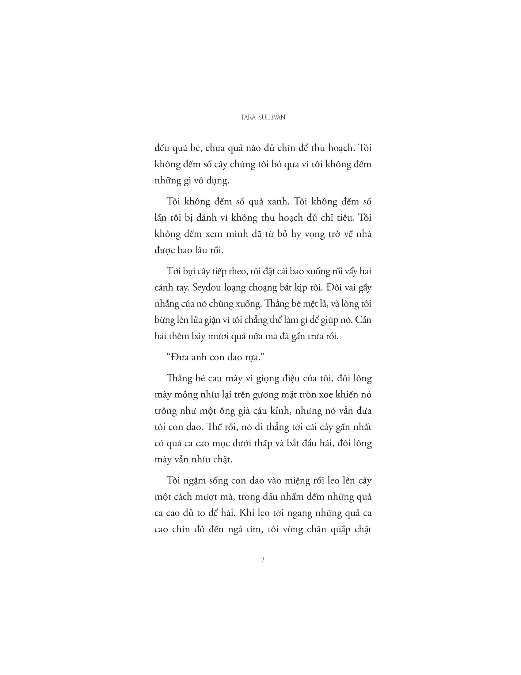 ca cao máu - Ảnh 5