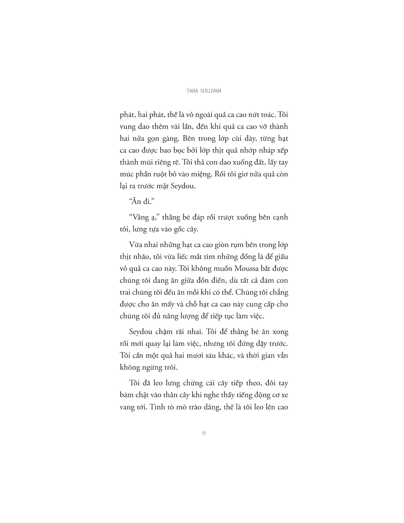 ca cao máu - Ảnh 7