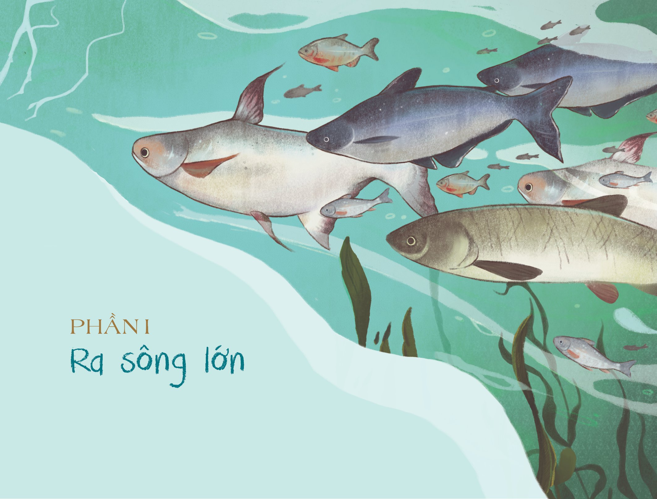 Cá Linh Đi Học - Ảnh 3