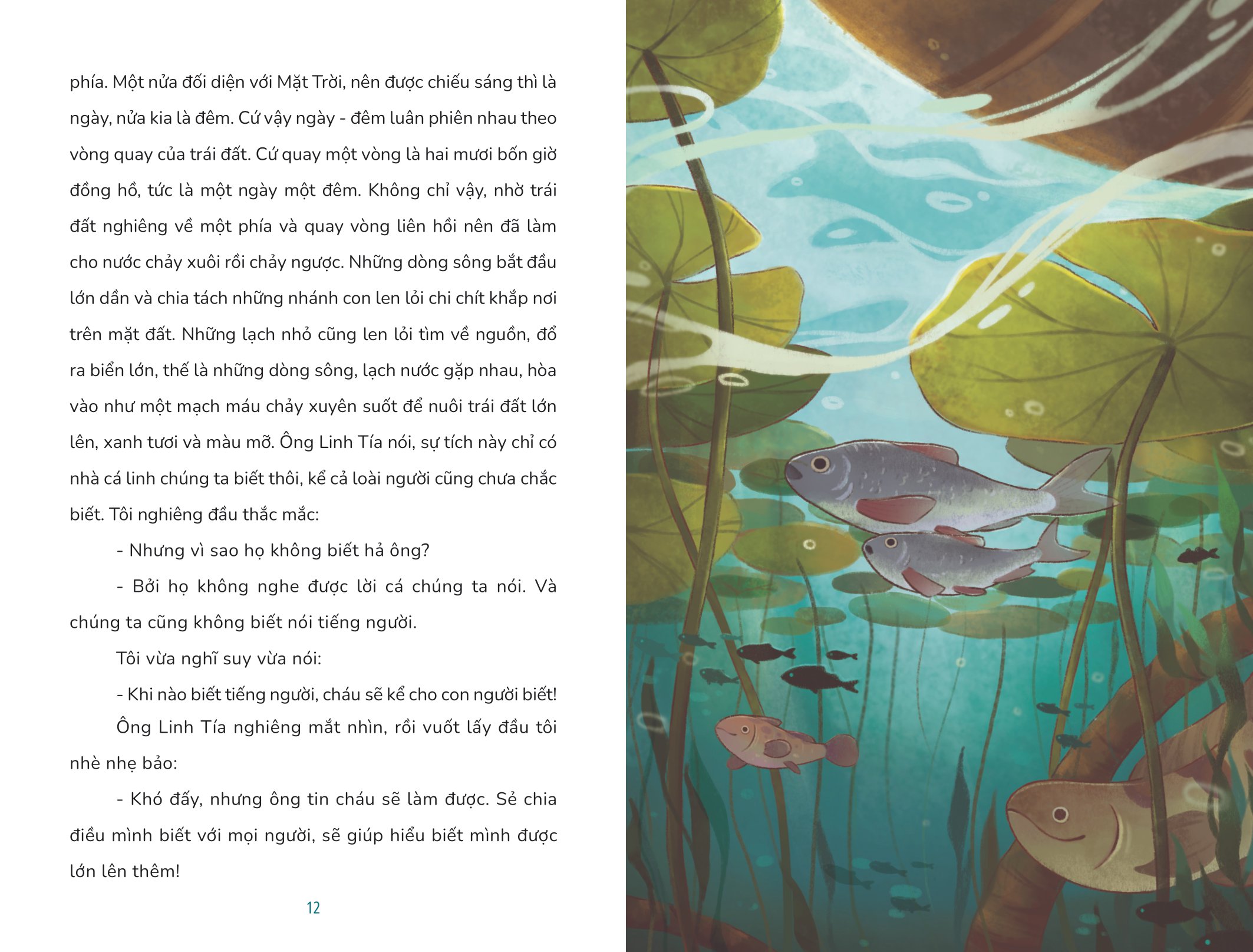 Cá Linh Đi Học - Ảnh 7