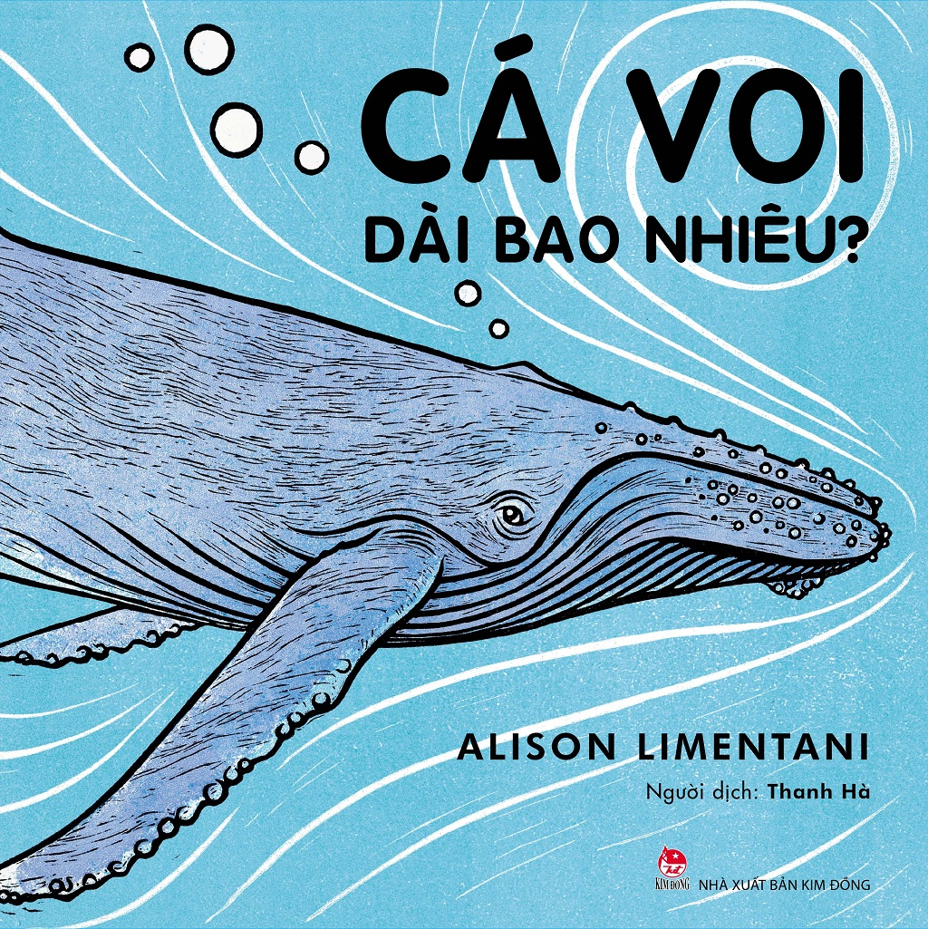 cá voi dài bao nhiêu? (tái bản 2023) - Ảnh 2