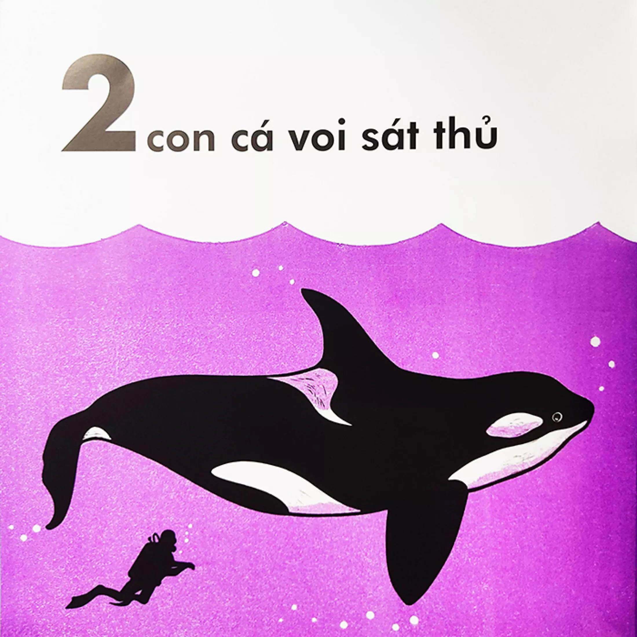 cá voi dài bao nhiêu? (tái bản 2023) - Ảnh 4