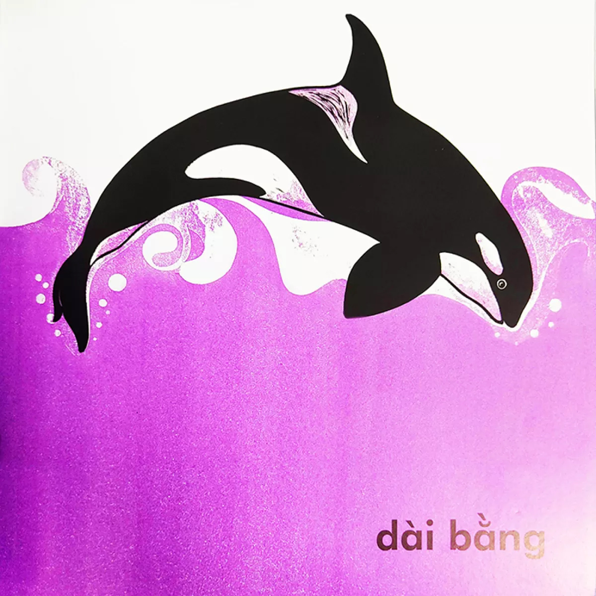 cá voi dài bao nhiêu? (tái bản 2023) - Ảnh 5