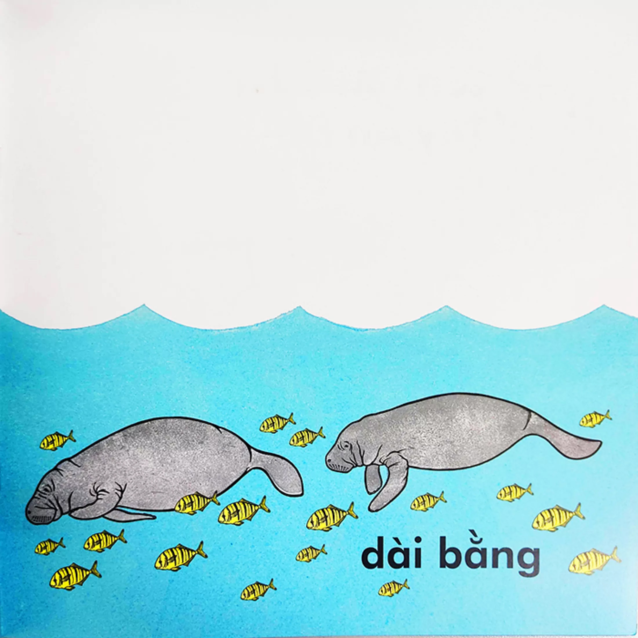 cá voi dài bao nhiêu? (tái bản 2023) - Ảnh 9