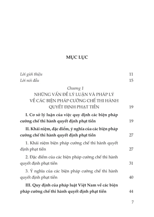 các biện pháp cưỡng chế thi hành quyết định phạt tiền trong xử phạt vi phạm hành chính: thực trạng và giải pháp - Ảnh 10