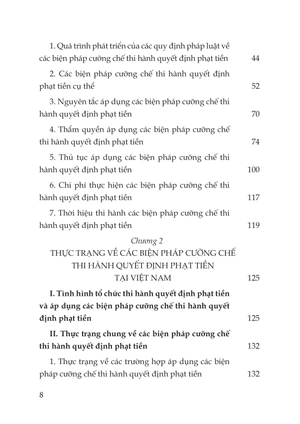 các biện pháp cưỡng chế thi hành quyết định phạt tiền trong xử phạt vi phạm hành chính: thực trạng và giải pháp - Ảnh 11